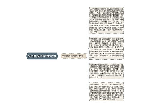 交感|副交感神经的特征