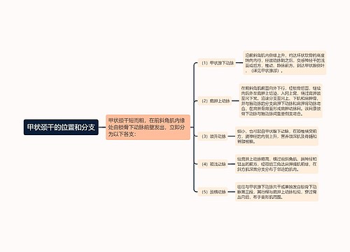 甲状颈干的位置和分支