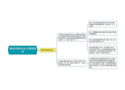 神经纤维的分类-生理学指导