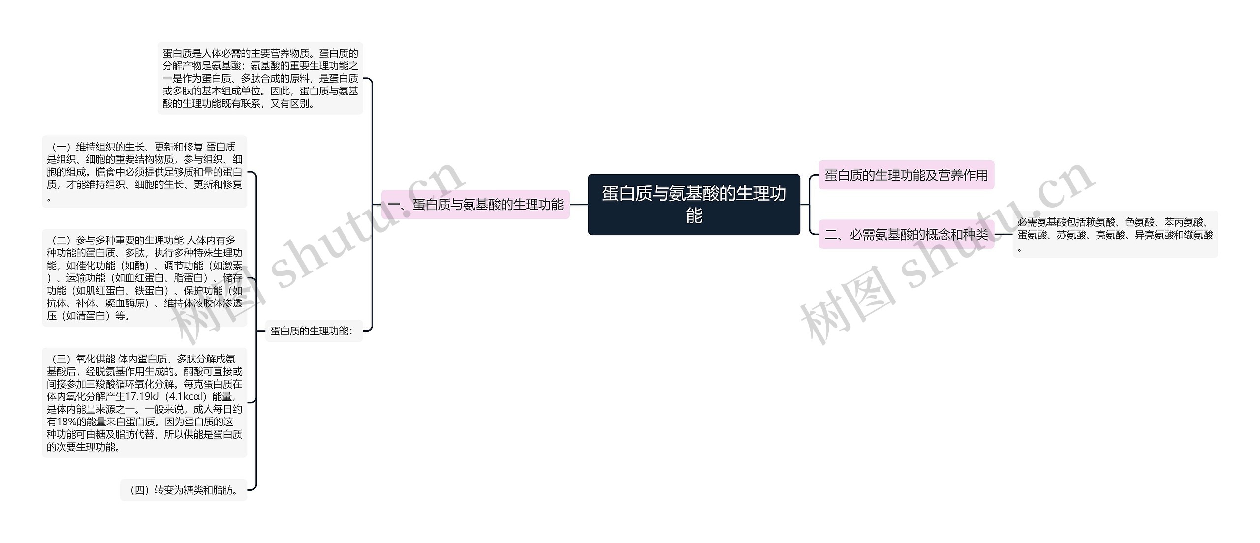 蛋白质与氨基酸的生理功能思维导图