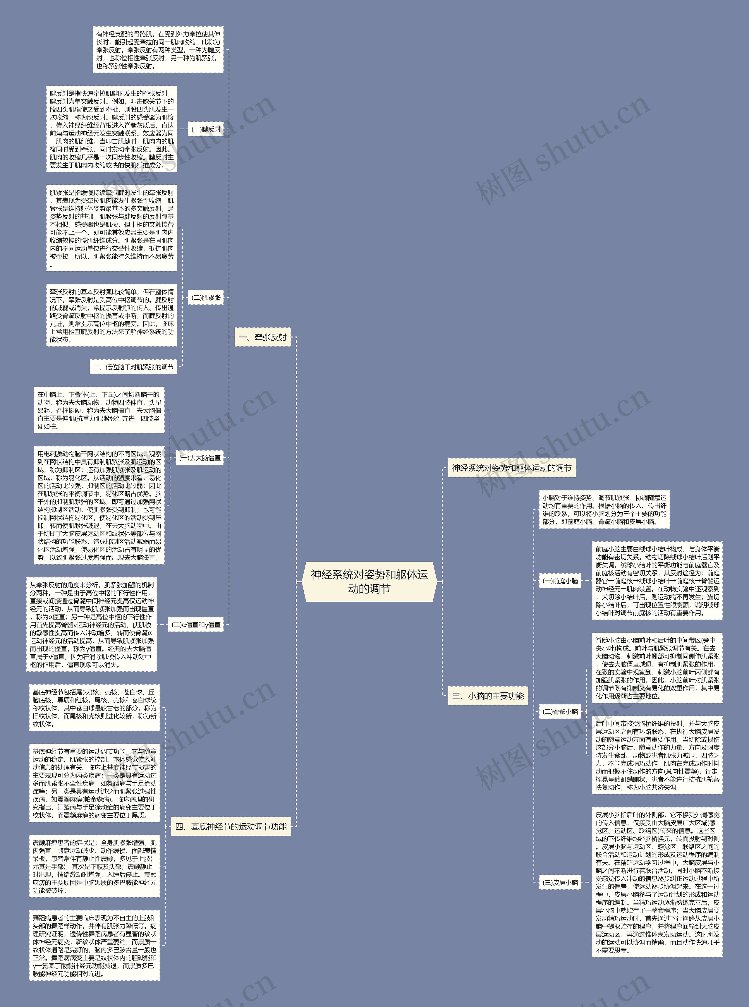 神经系统对姿势和躯体运动的调节思维导图
