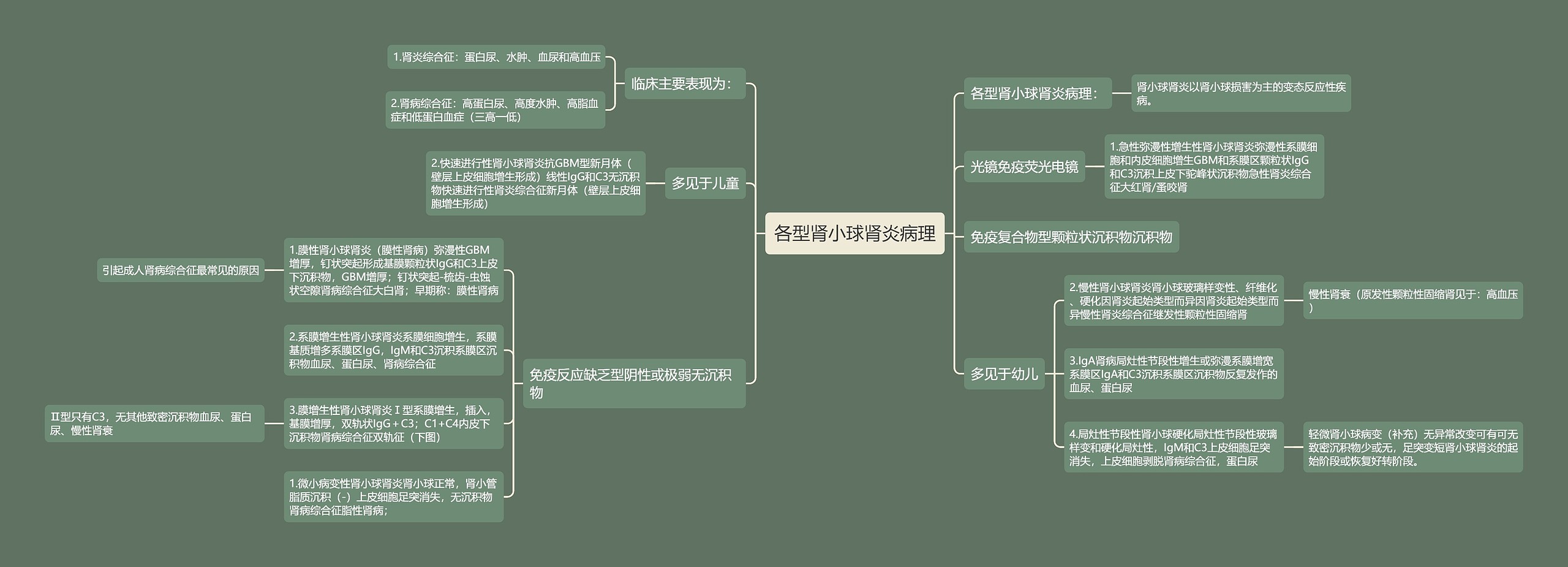 各型肾小球肾炎病理思维导图