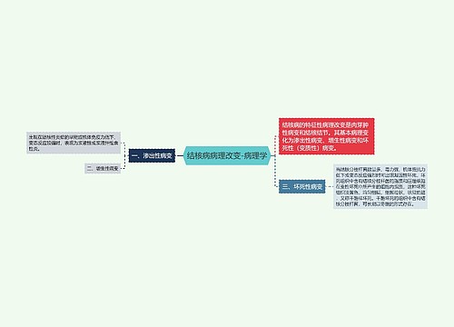 结核病病理改变-病理学