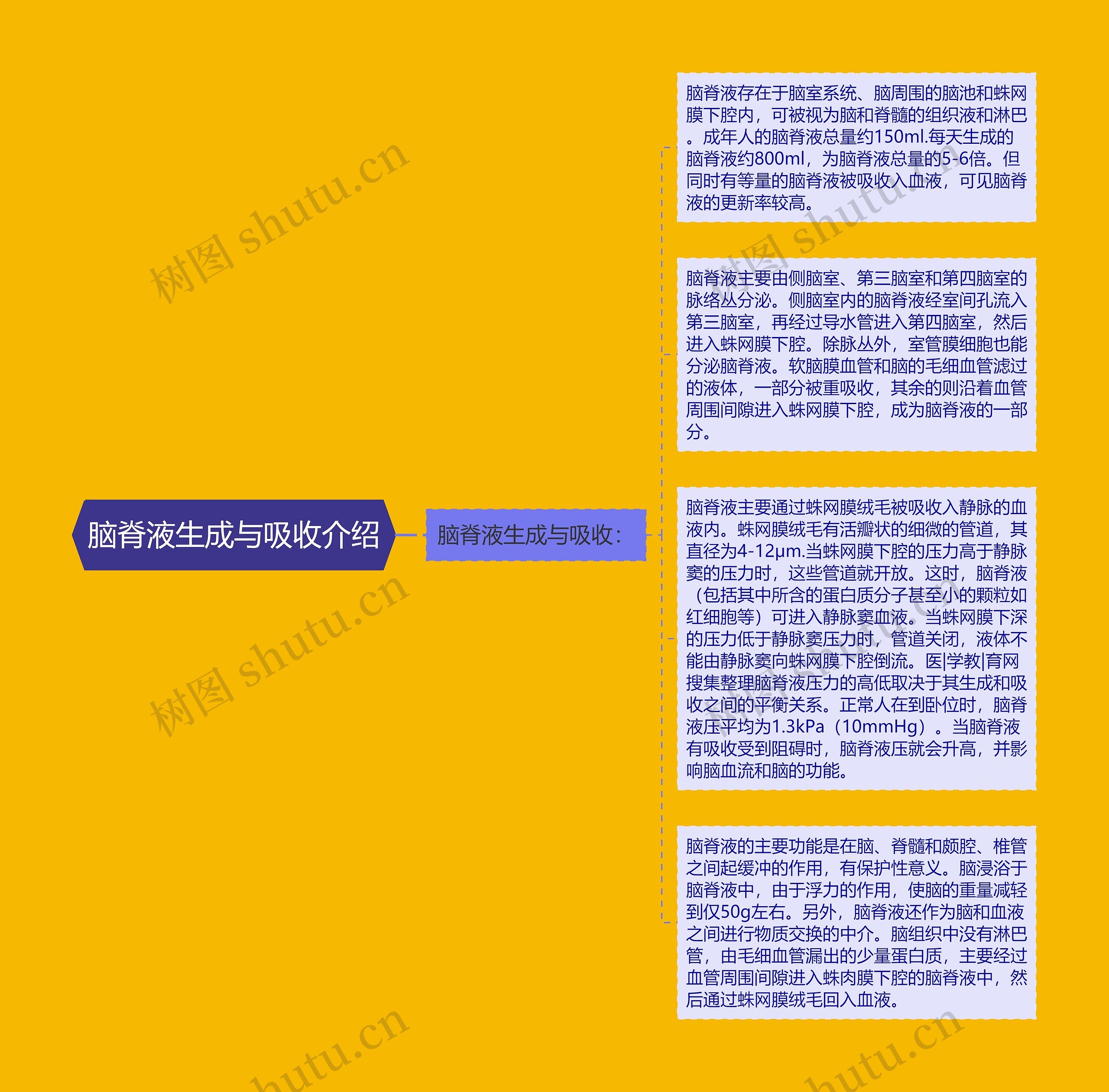 脑脊液生成与吸收介绍