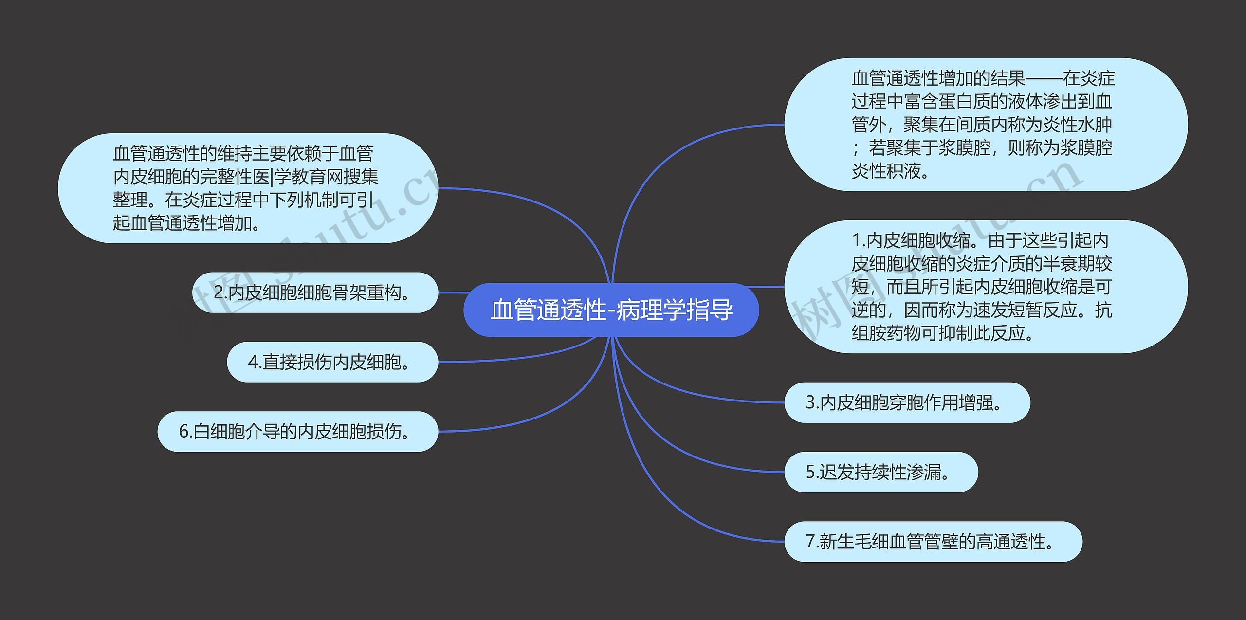 血管通透性-病理学指导