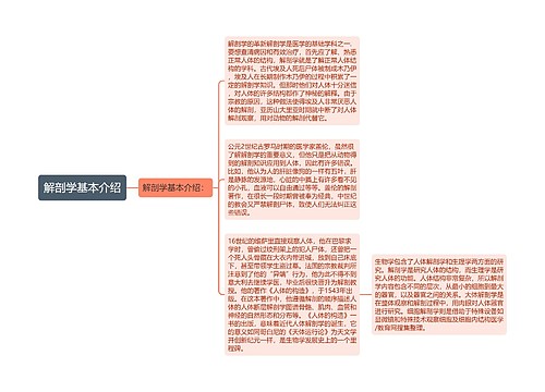 解剖学基本介绍