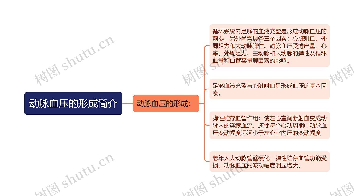 动脉血压的形成简介思维导图_编号p7564357-TreeMind树图