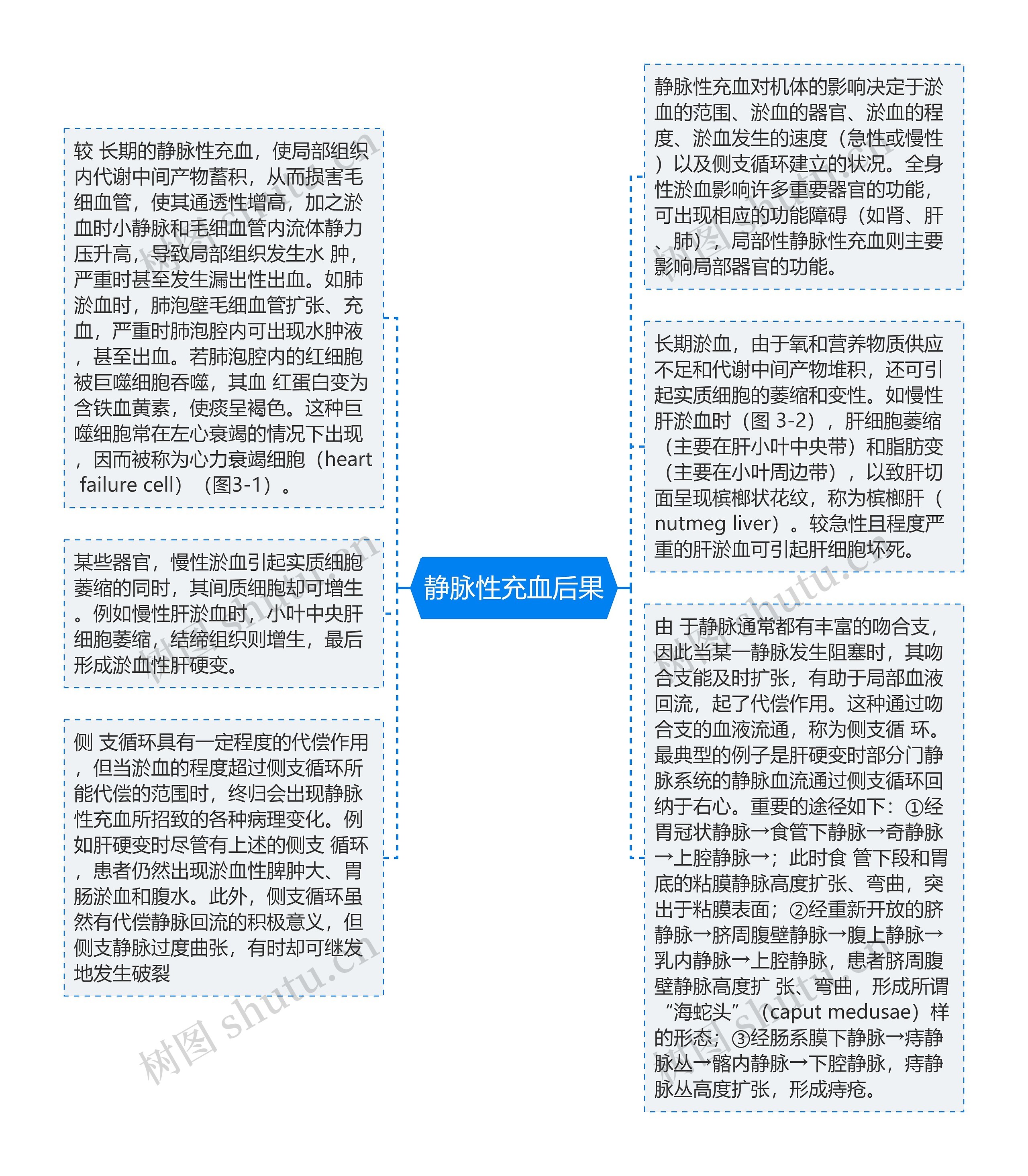 静脉性充血后果思维导图