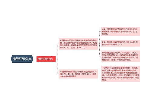 神经纤维分类