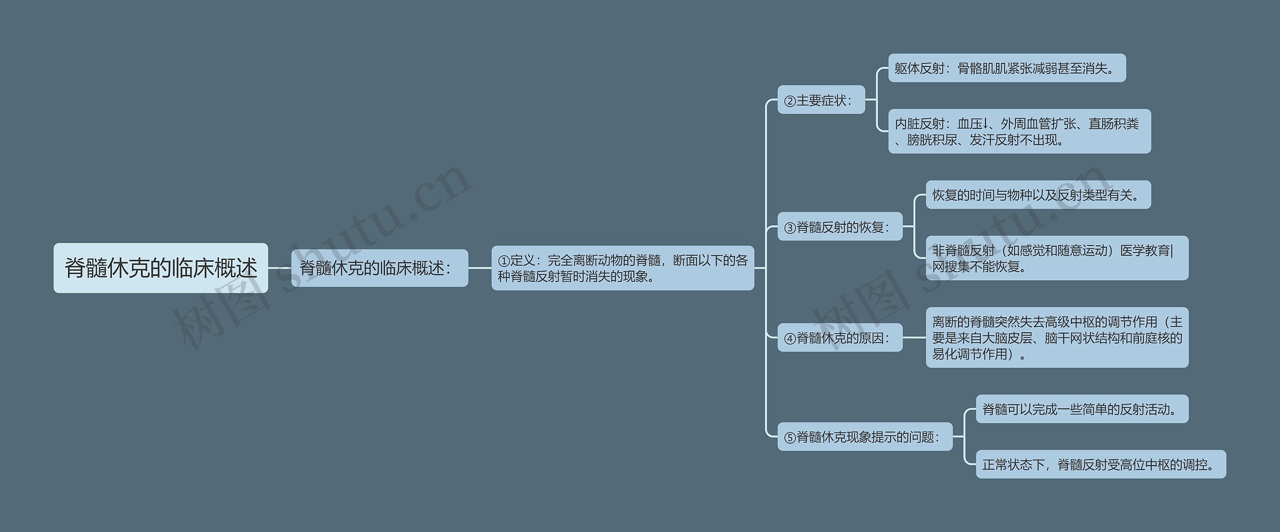 脊髓休克的临床概述