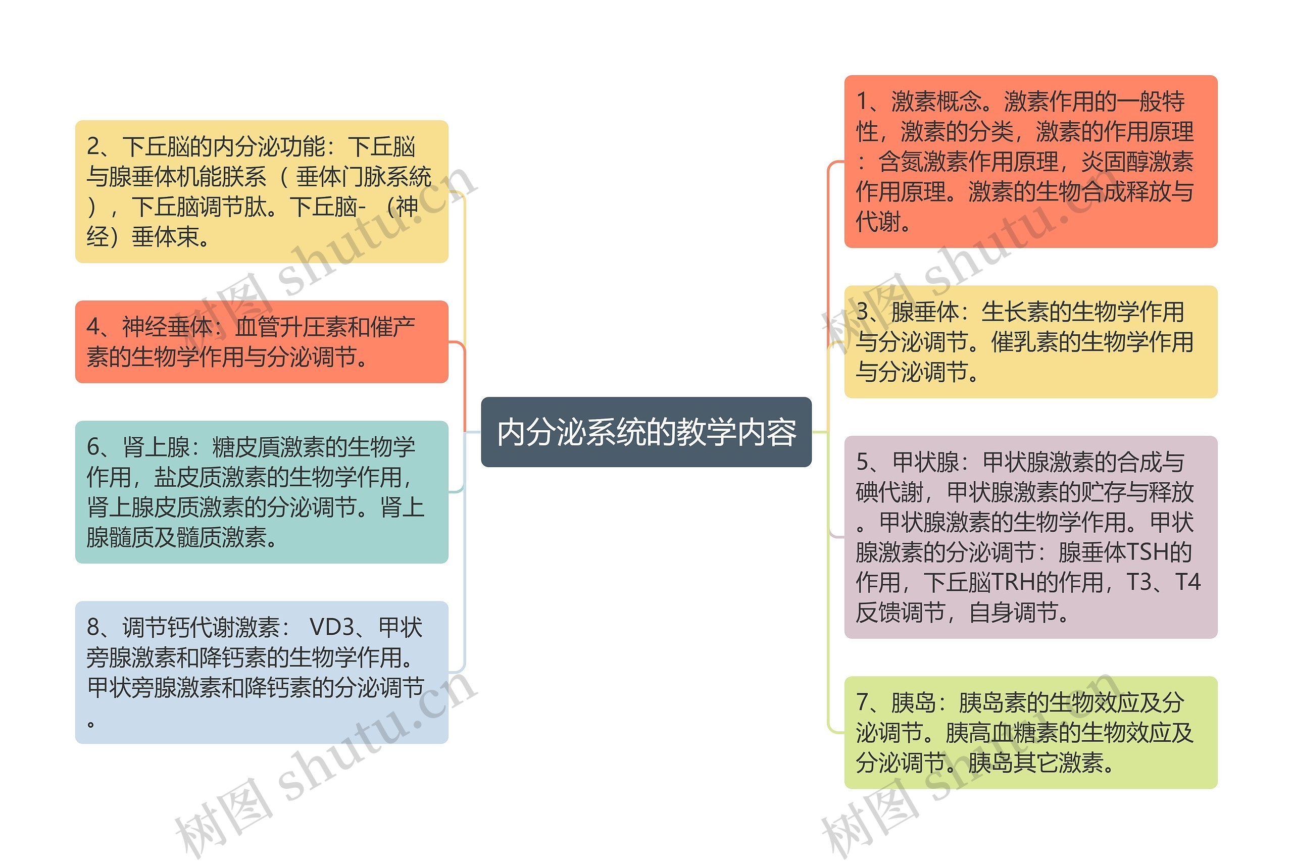 内分泌系统的教学内容思维导图