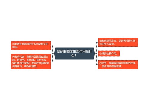 睾酮的临床生理作用是什么？