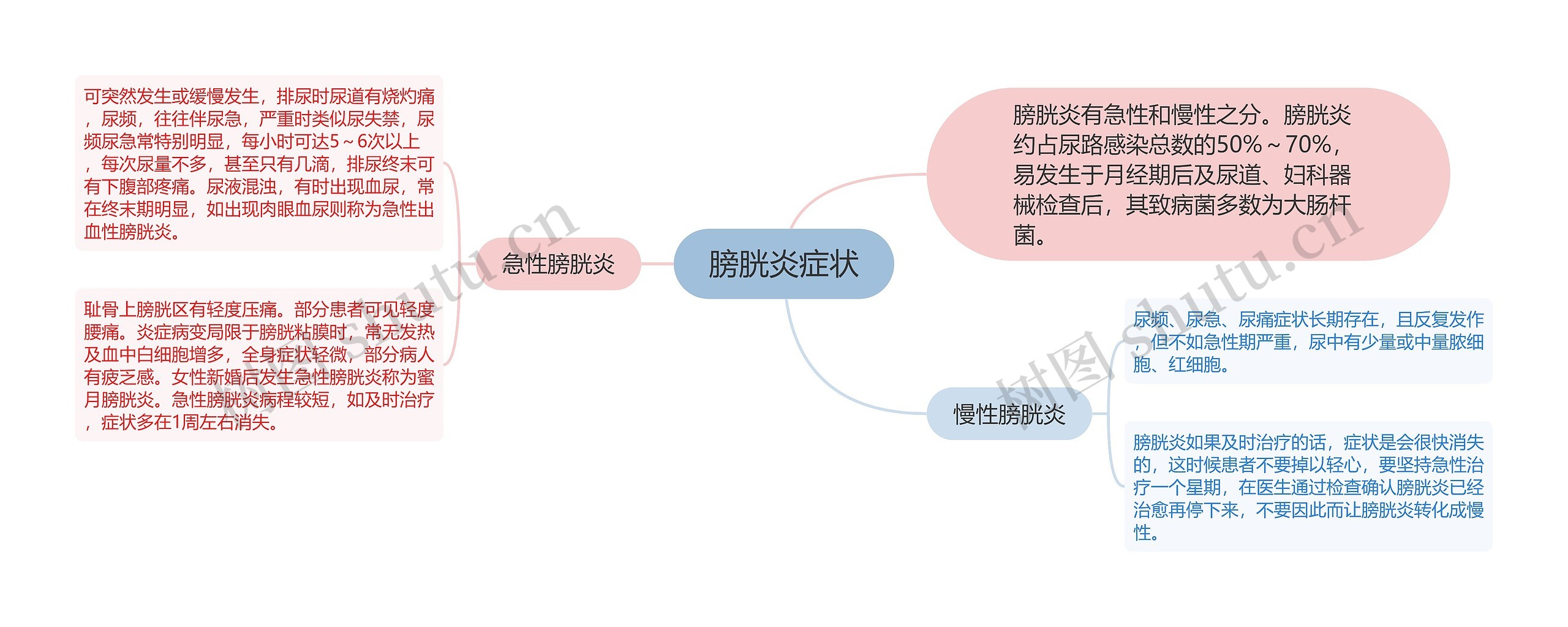 膀胱炎症状思维导图