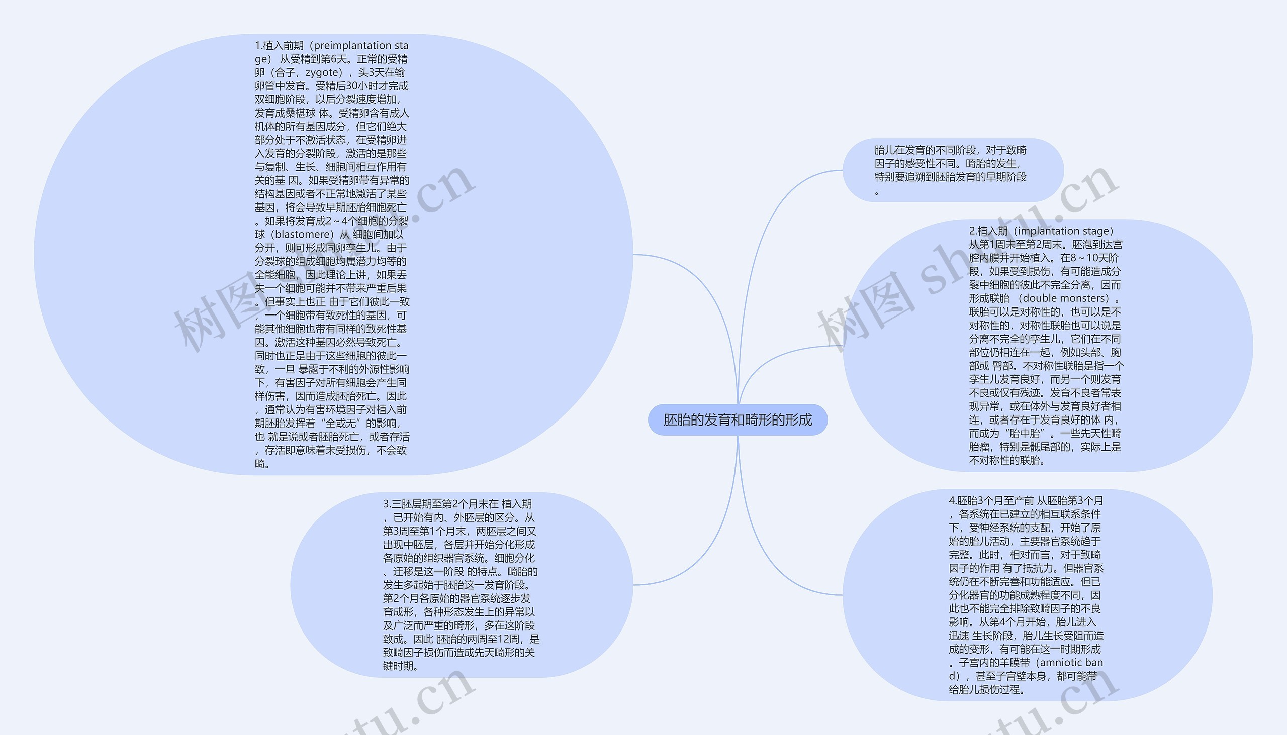 胚胎的发育和畸形的形成思维导图