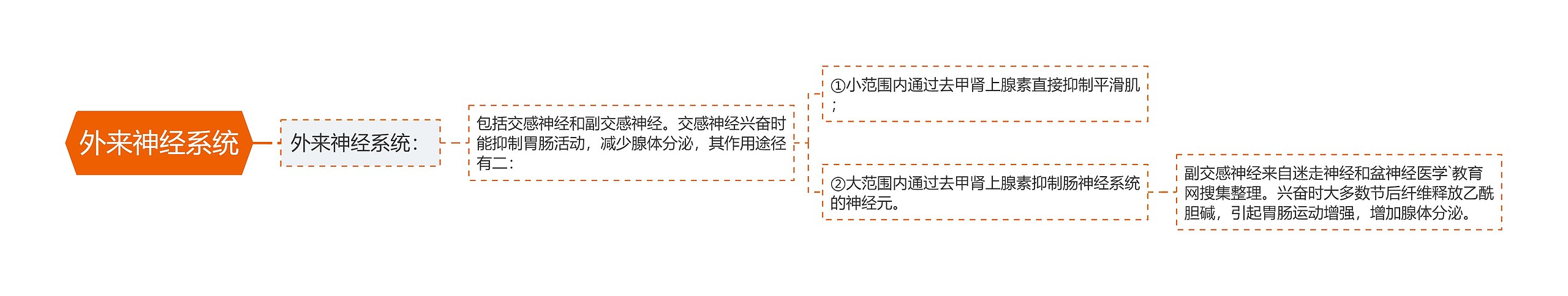 外来神经系统思维导图