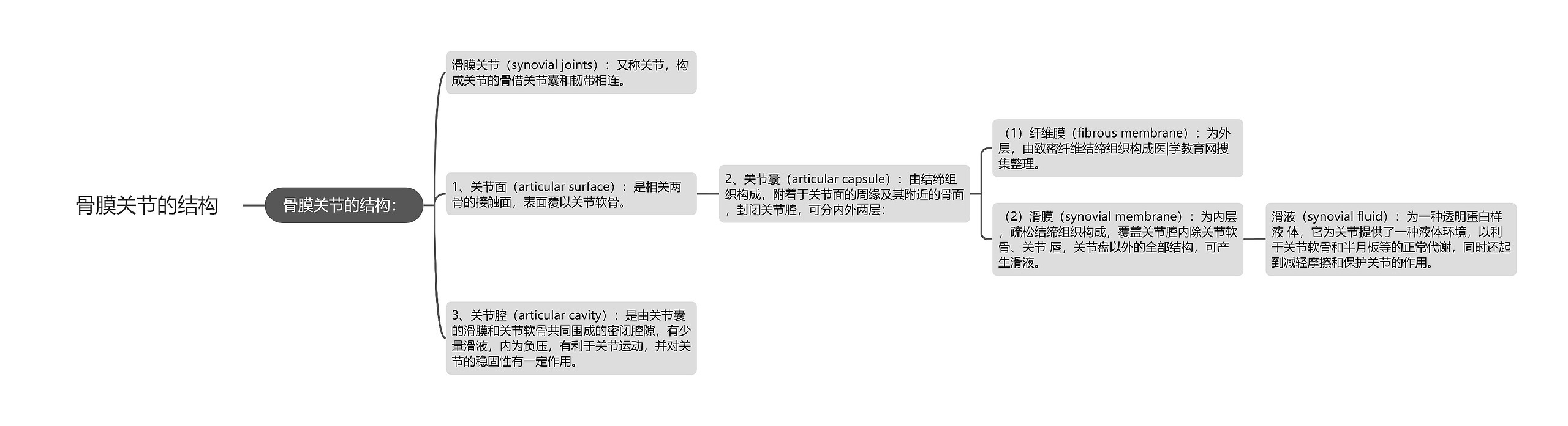 骨膜关节的结构思维导图