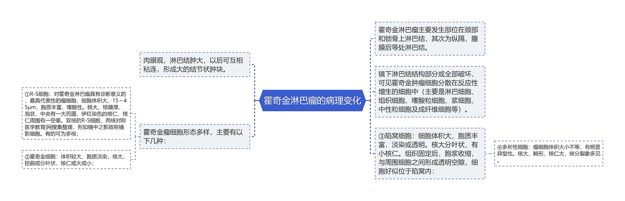 霍奇金淋巴瘤的病理变化