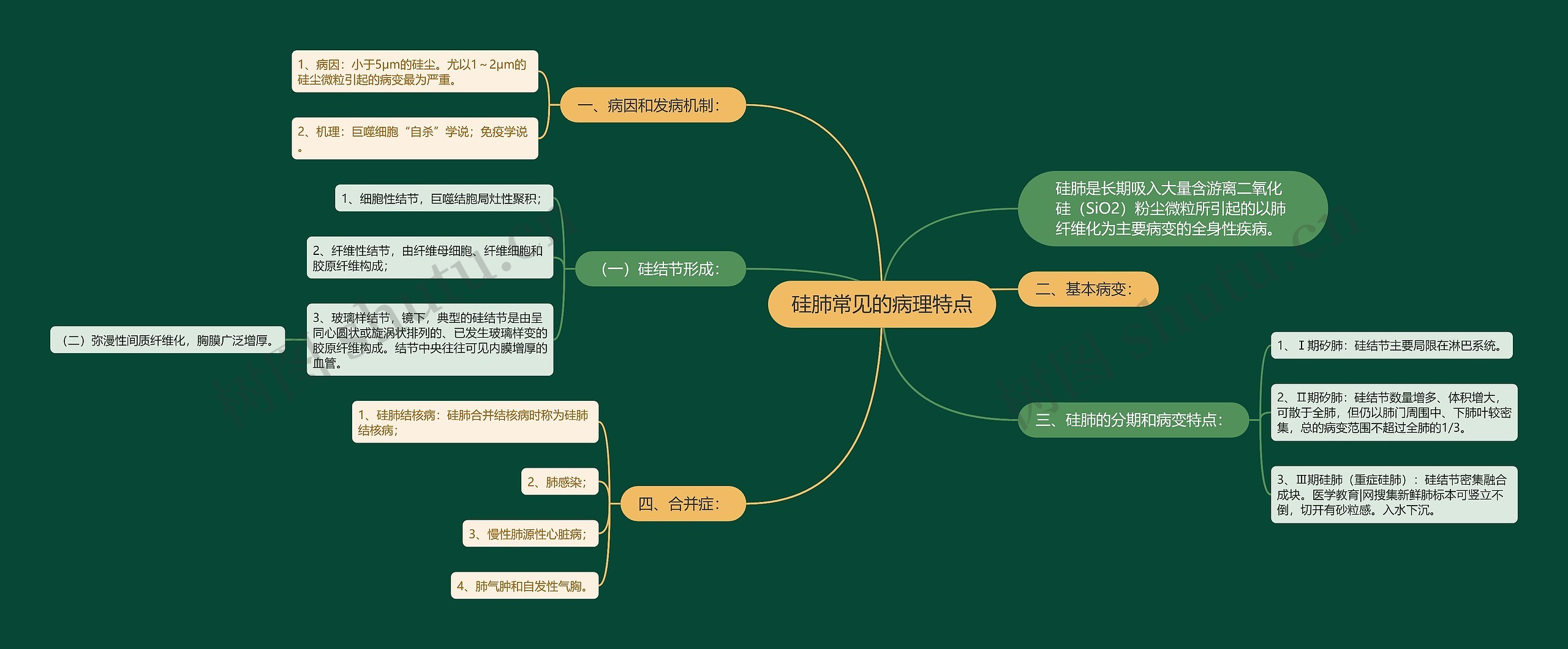 硅肺常见的病理特点思维导图