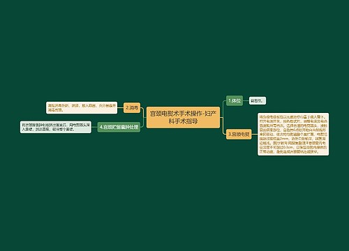 宫颈电熨术手术操作-妇产科手术指导