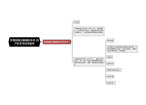 外阴前庭大腺癌肿手术-妇产科手术技术指导