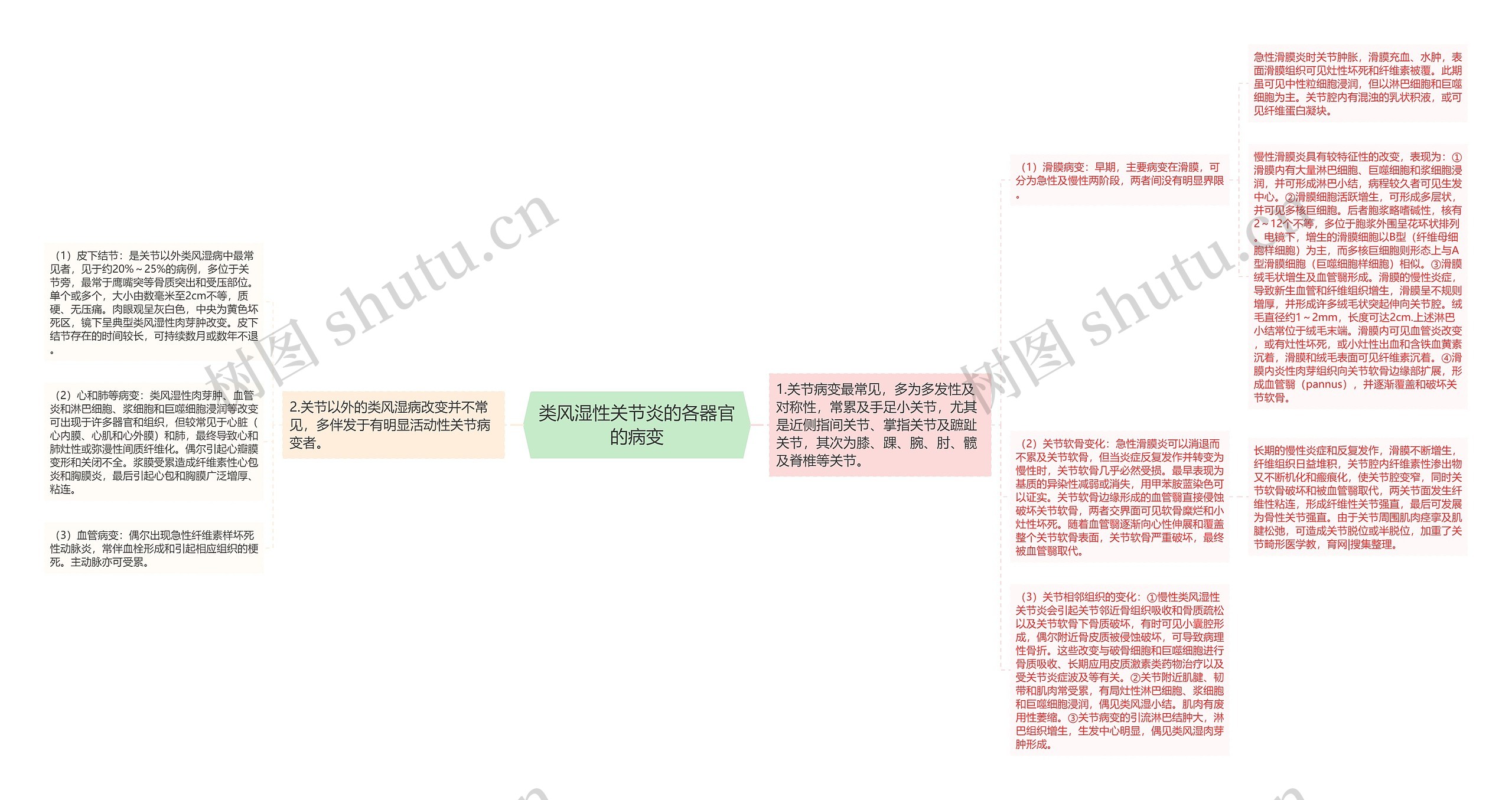 类风湿性关节炎的各器官的病变