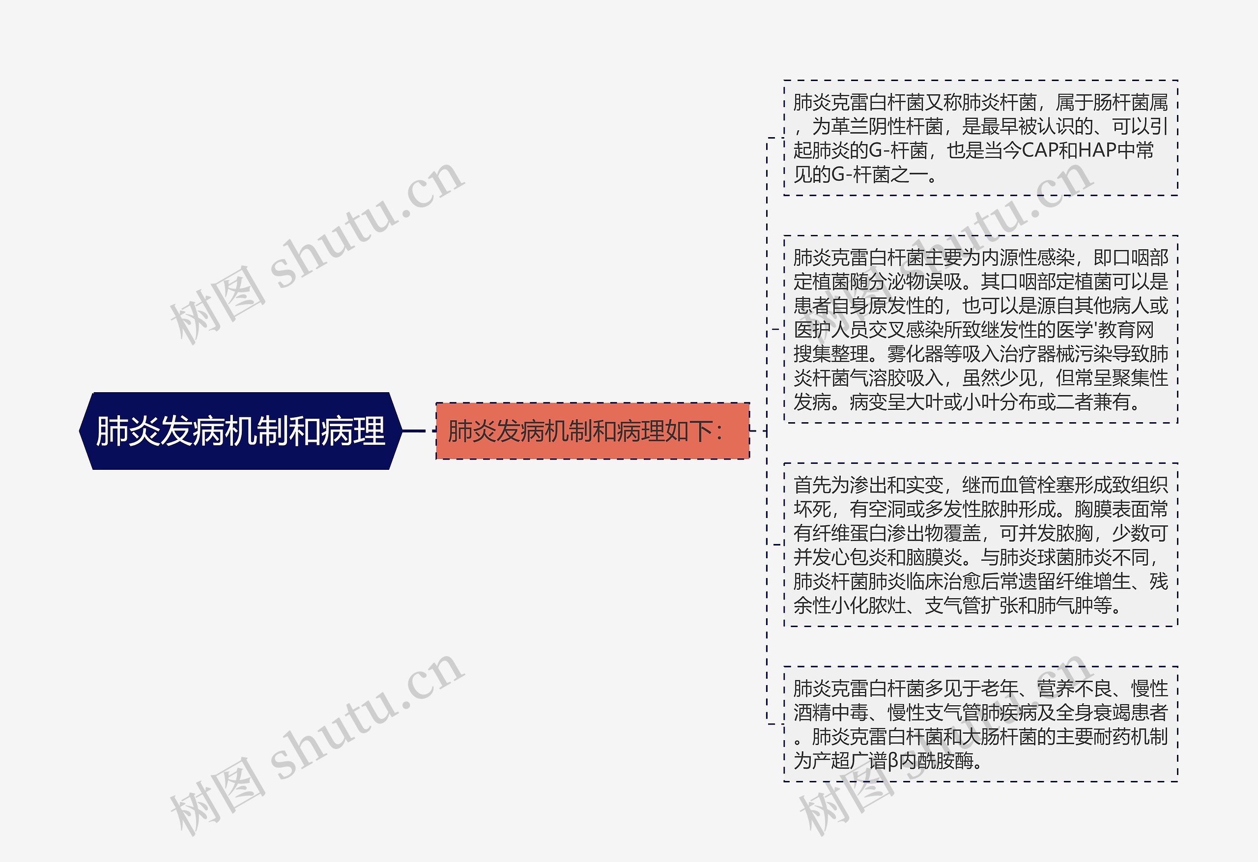 肺炎发病机制和病理思维导图