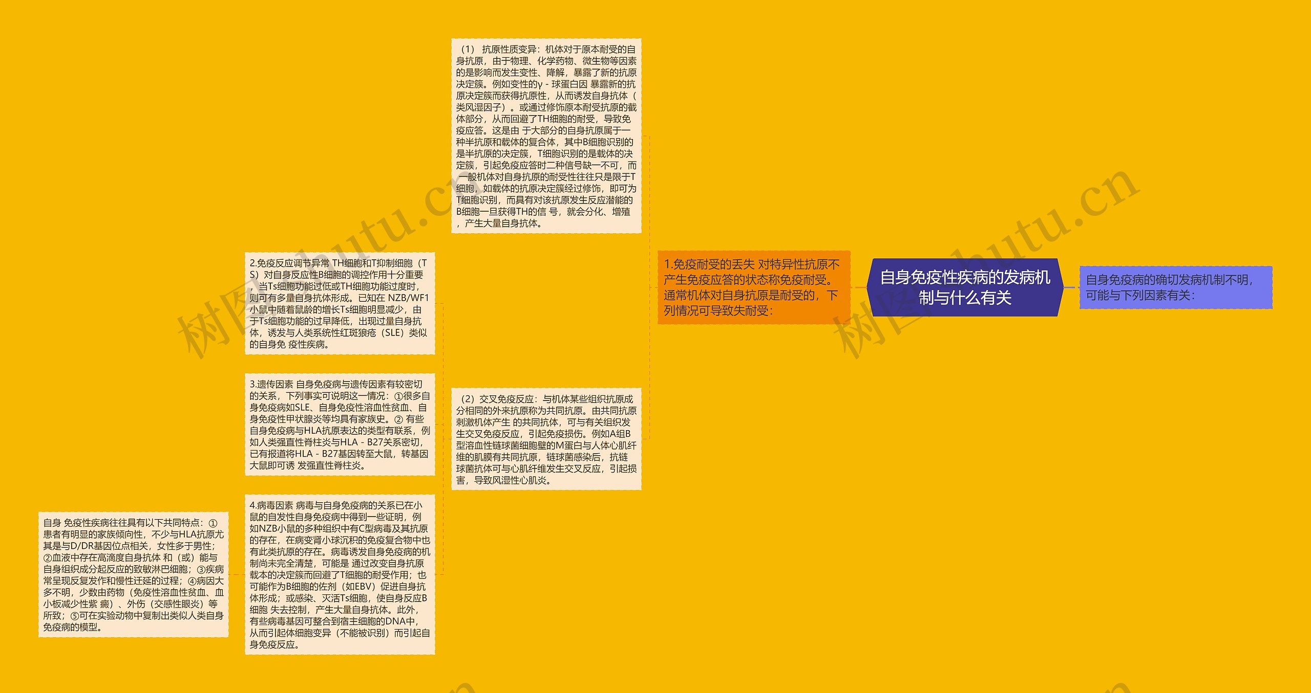 自身免疫性疾病的发病机制与什么有关