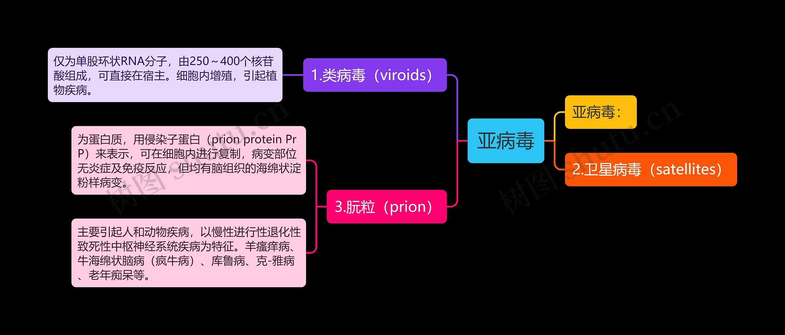 亚病毒思维导图