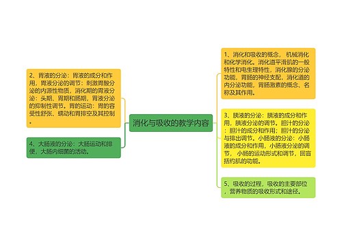 消化与吸收的教学内容