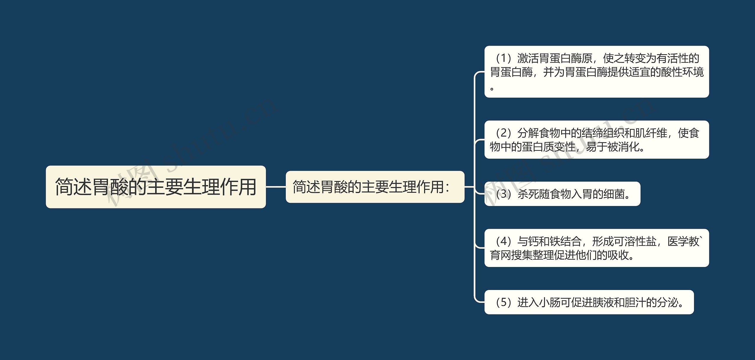 简述胃酸的主要生理作用思维导图