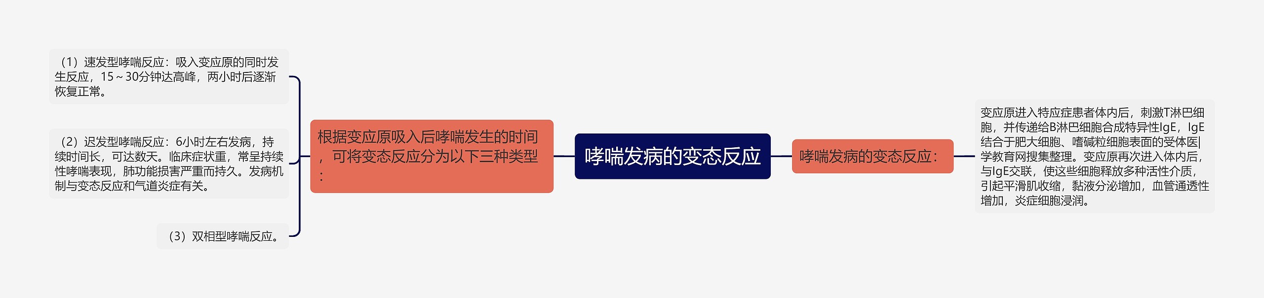 哮喘发病的变态反应思维导图