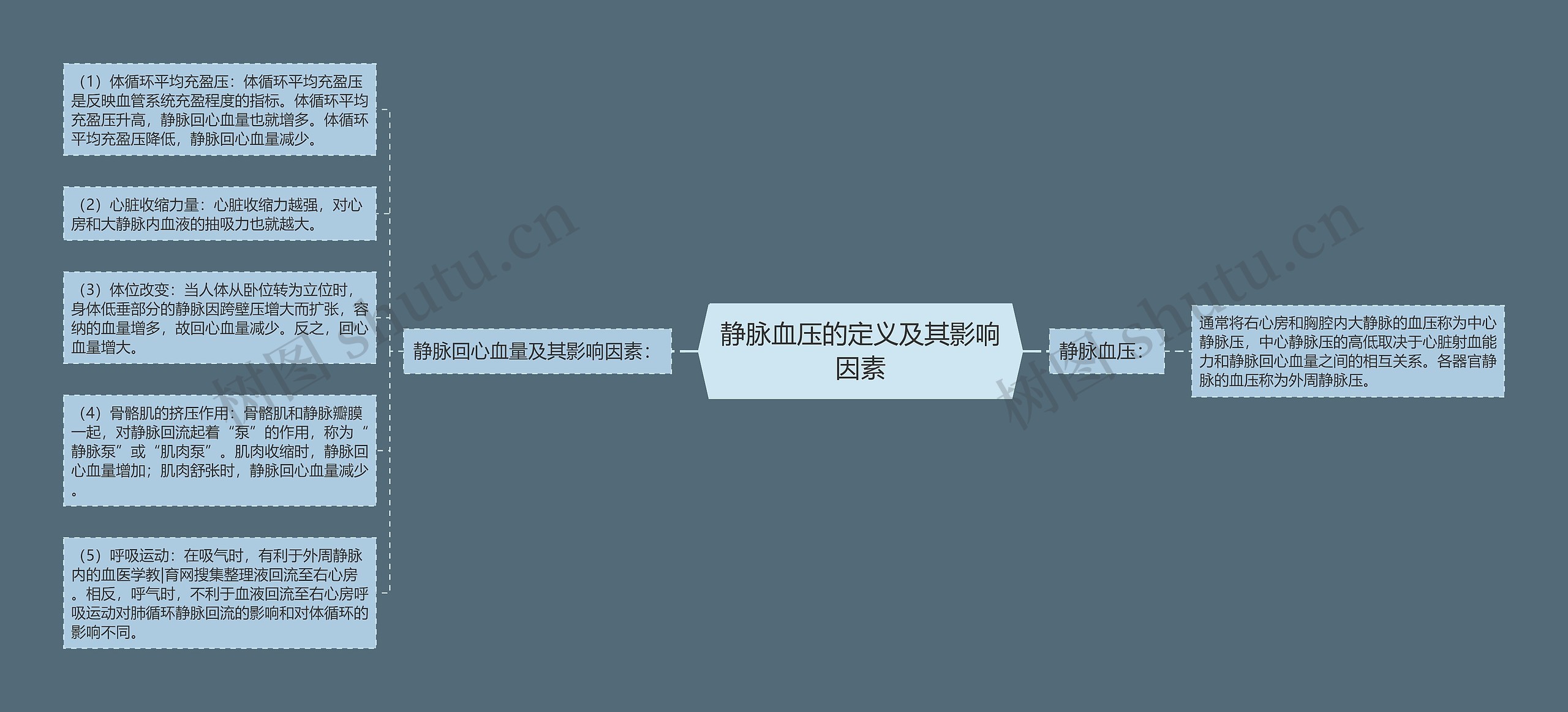 静脉血压的定义及其影响因素