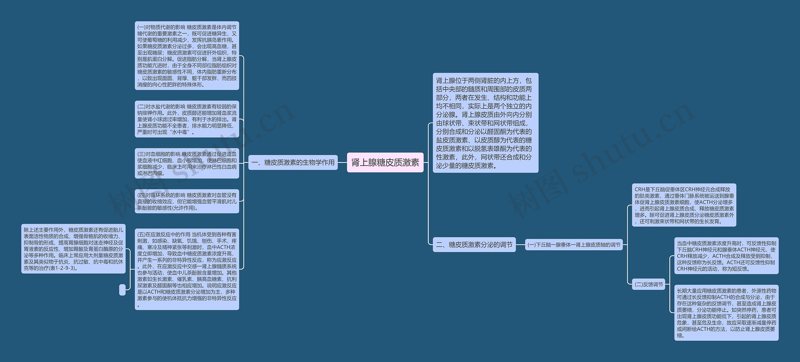 肾上腺糖皮质激素思维导图