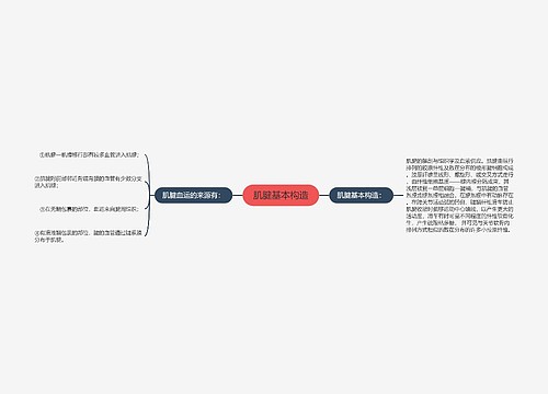 肌腱基本构造