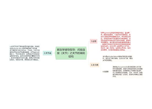 解剖学辅导指导：间接连接（关节）之关节的辅助结构