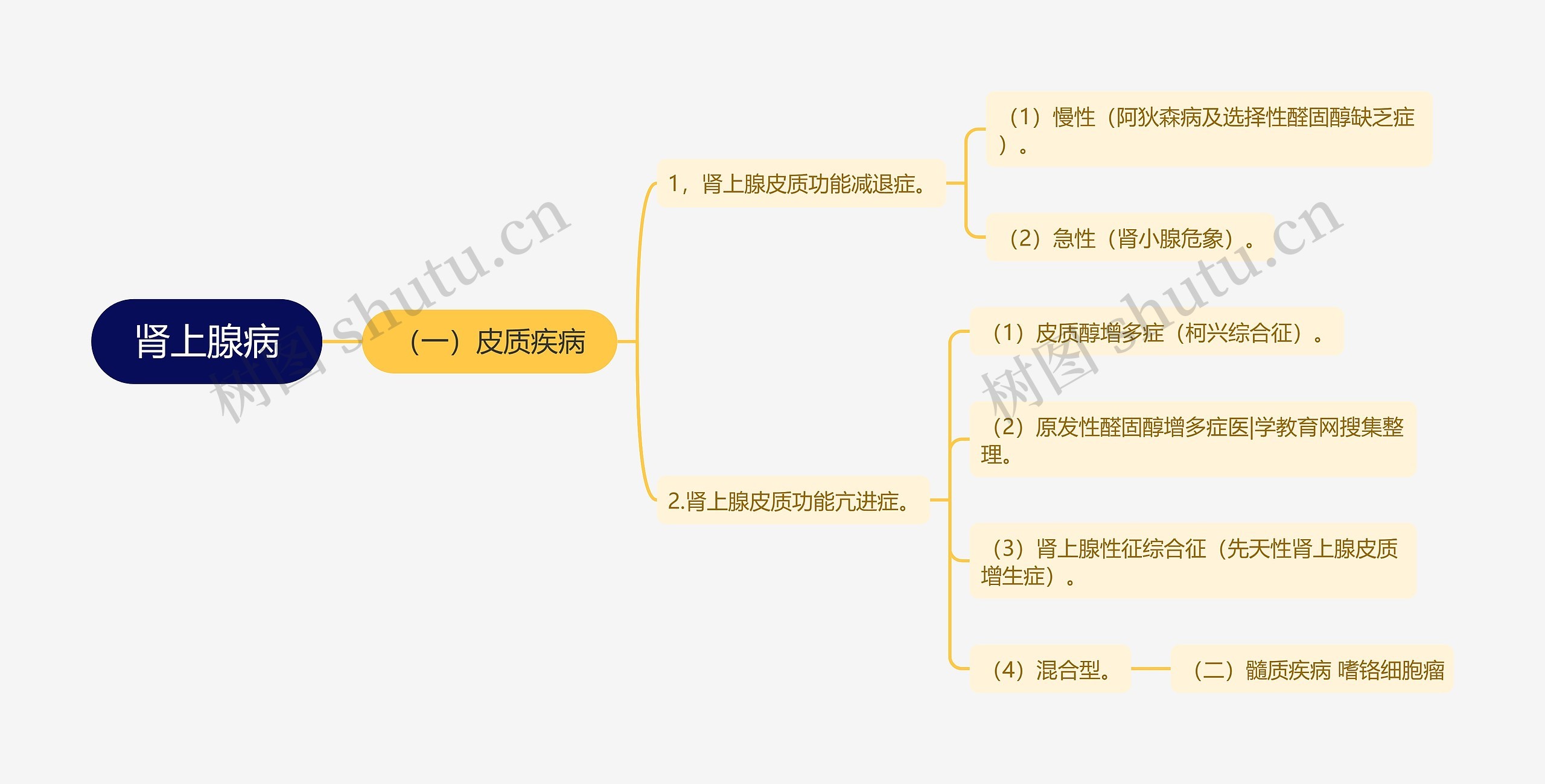 肾上腺病思维导图