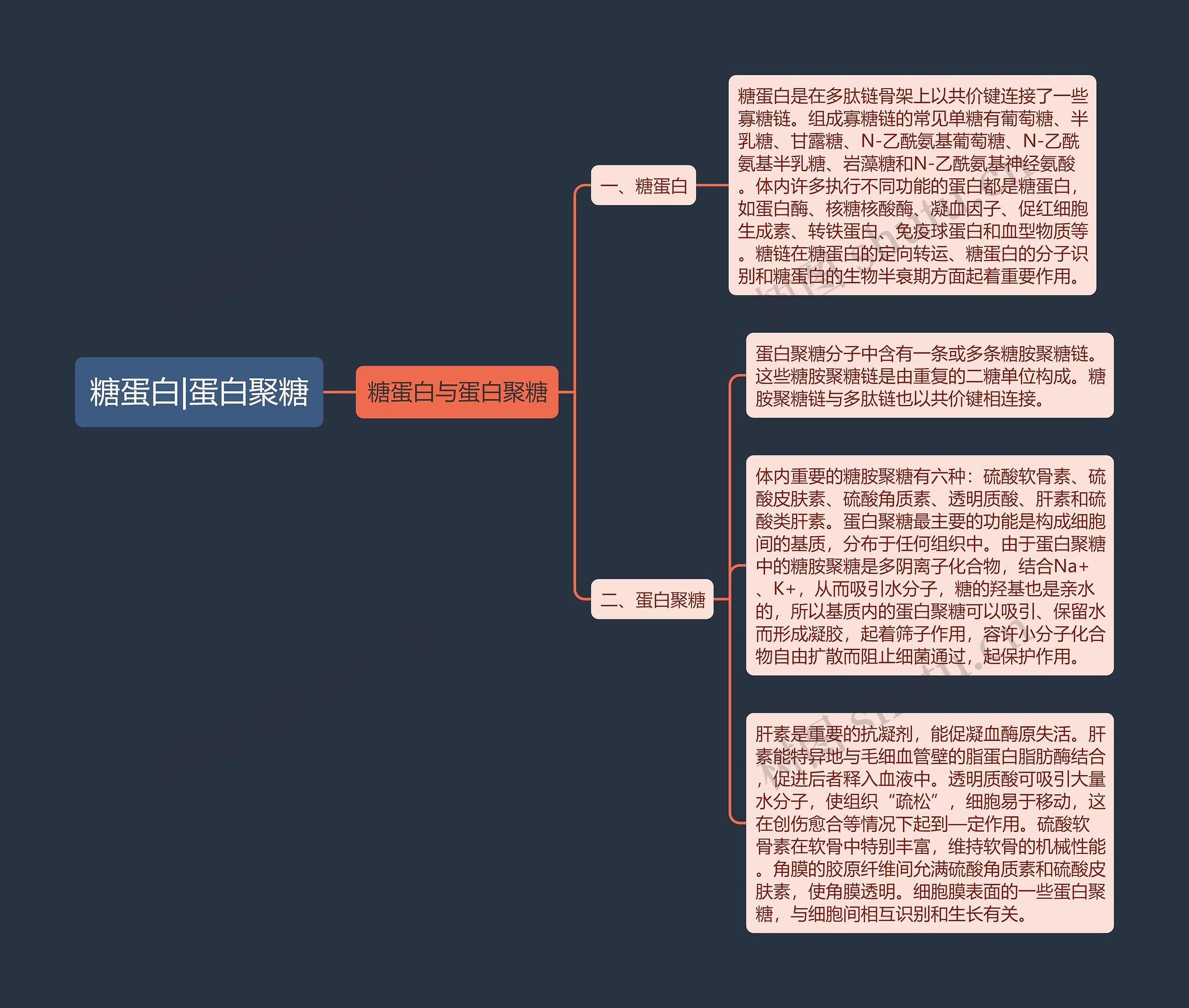 糖蛋白|蛋白聚糖