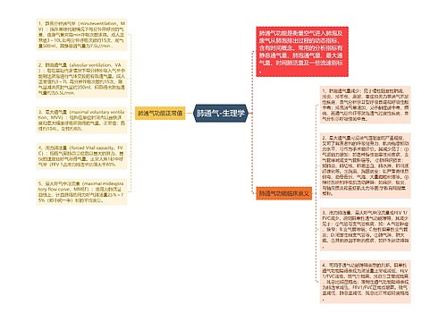 肺通气-生理学