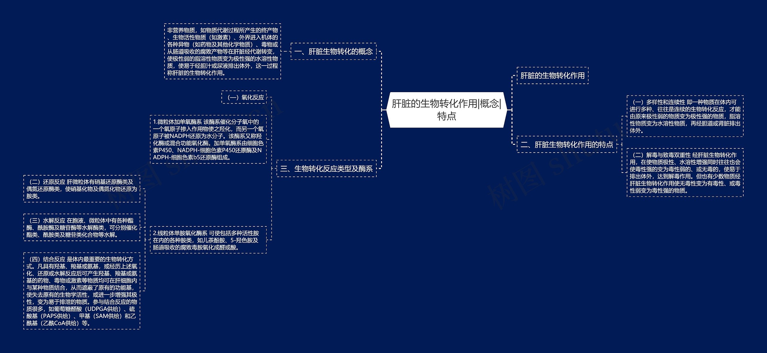 肝脏的生物转化作用|概念|特点思维导图