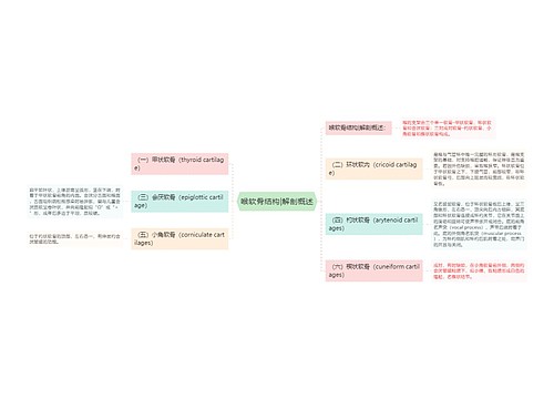 喉软骨结构|解剖概述