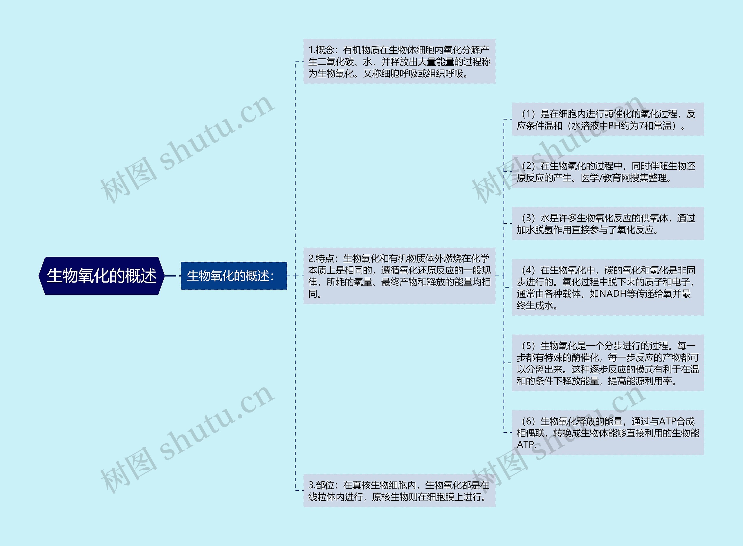 生物氧化的概述思维导图