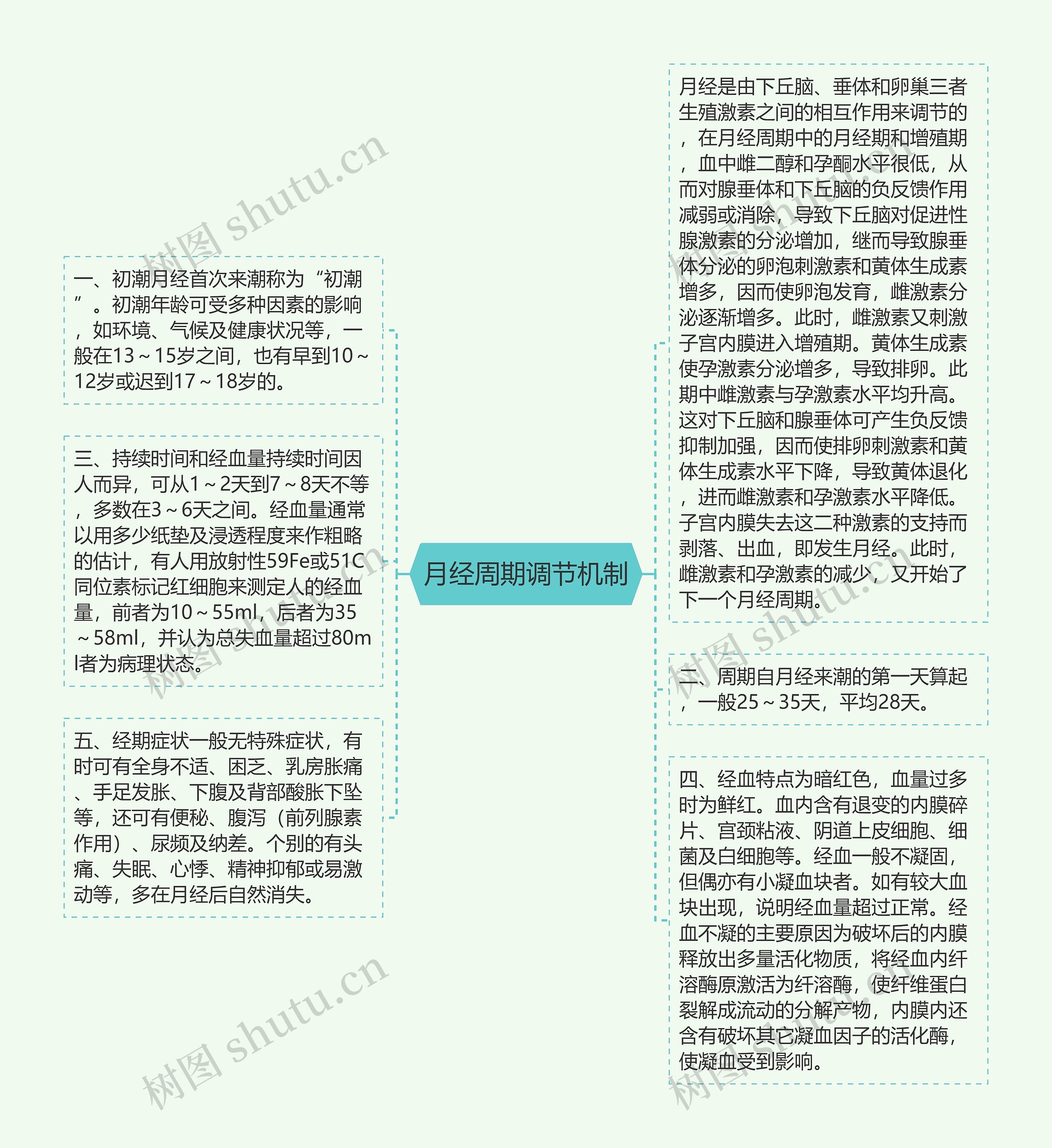 月经周期调节机制思维导图