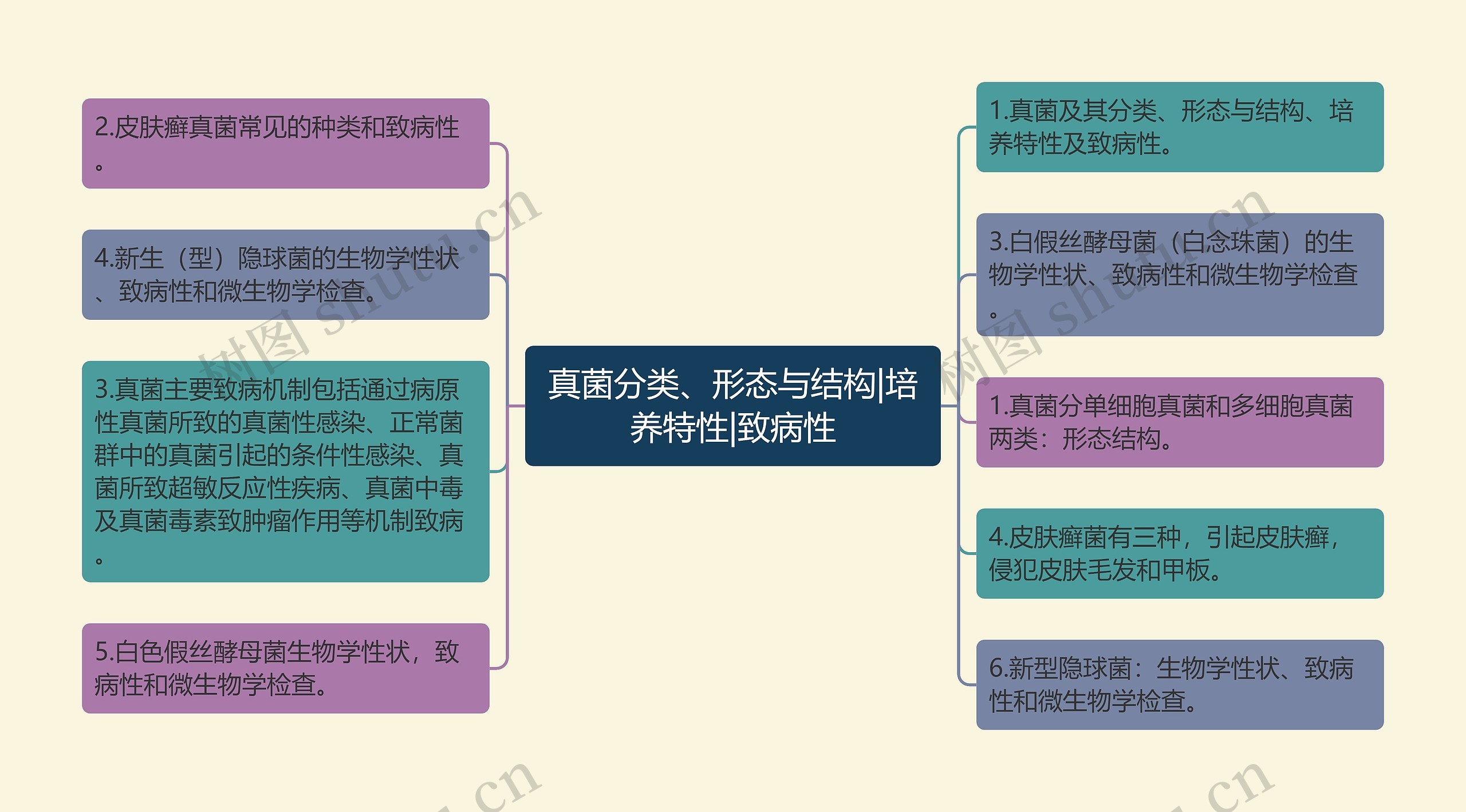 真菌分类、形态与结构|培养特性|致病性思维导图