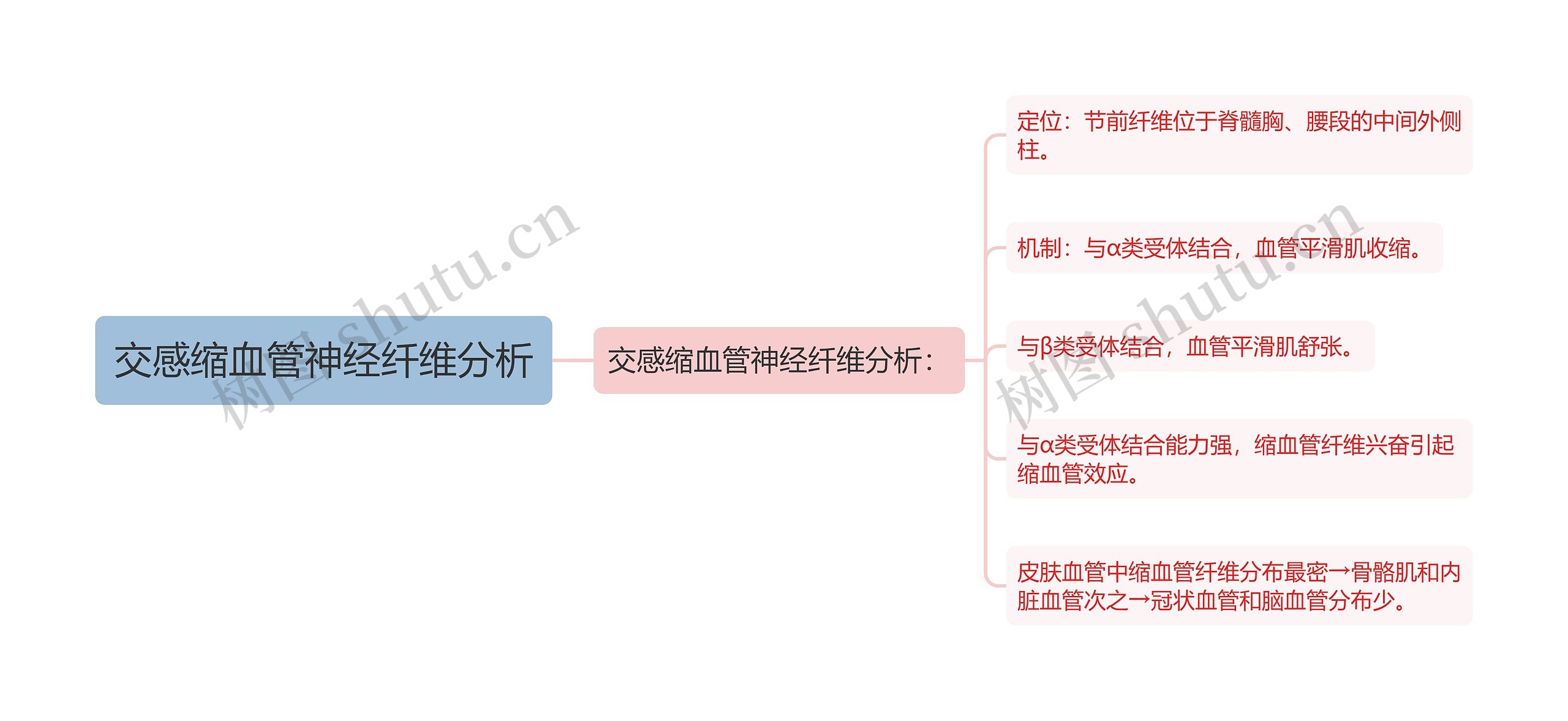 交感缩血管神经纤维分析 交感缩血管神经纤维分析