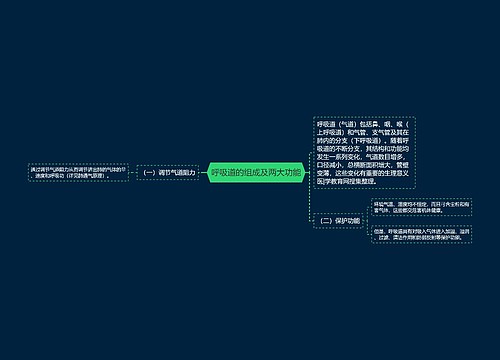 呼吸道的组成及两大功能