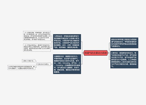 肺通气的主要动力因素