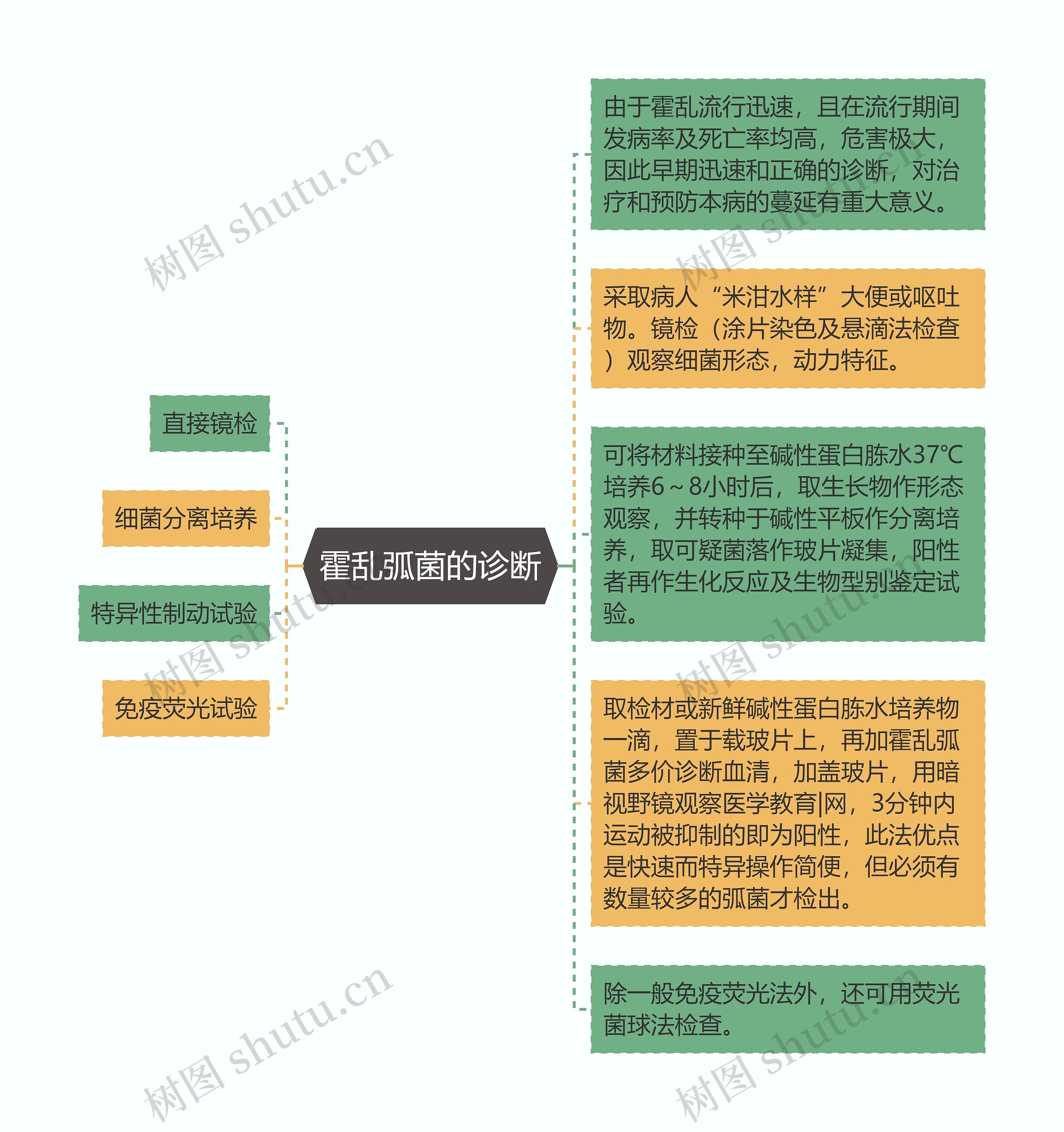 霍乱弧菌的诊断思维导图