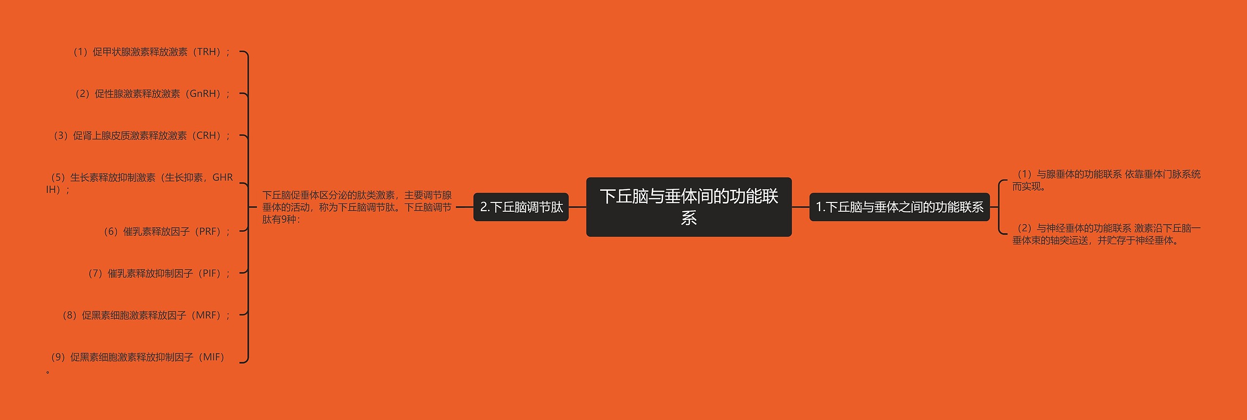 下丘脑与垂体间的功能联系 下丘脑与垂体间的功能联系