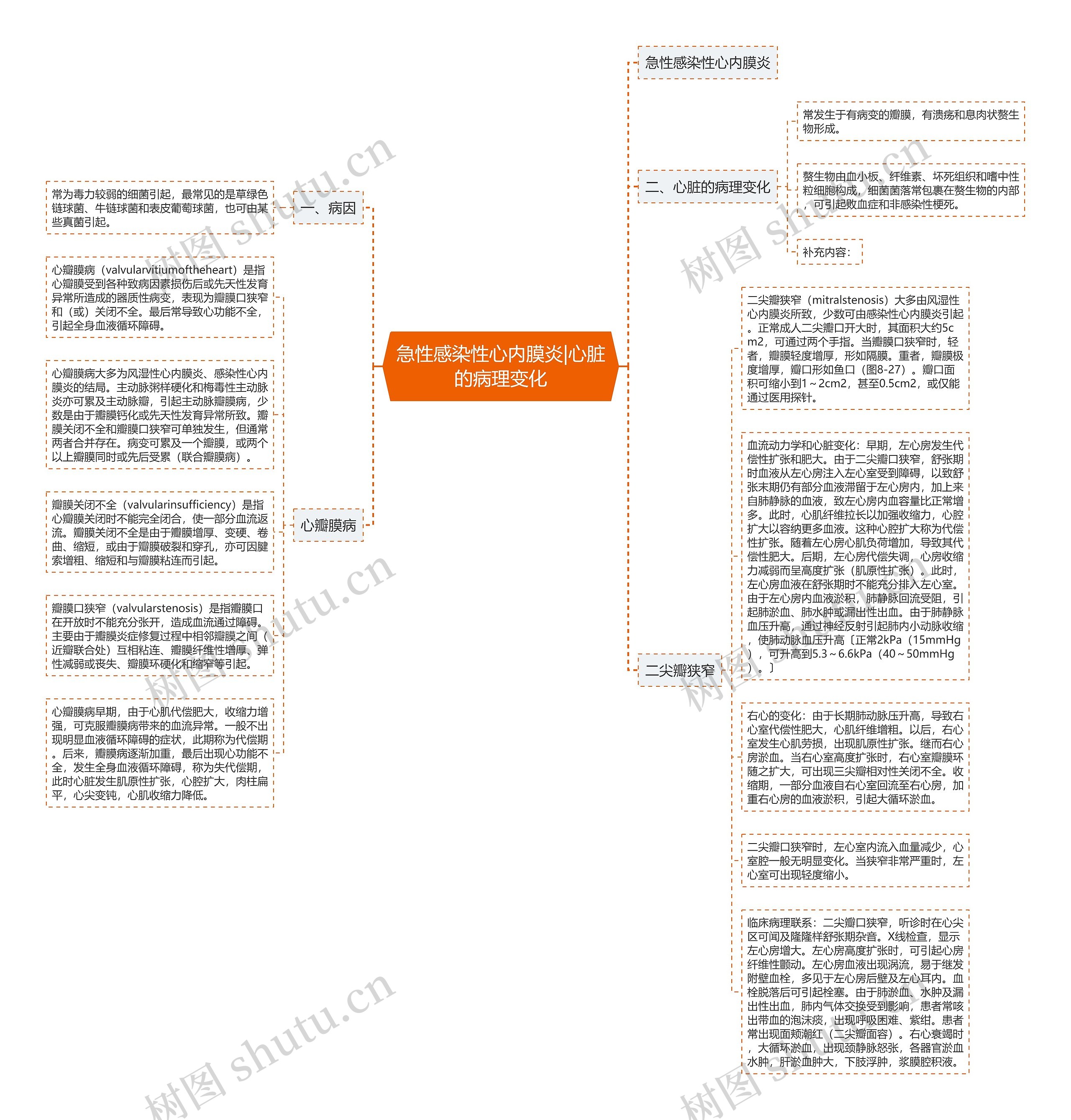 急性感染性心内膜炎|心脏的病理变化思维导图