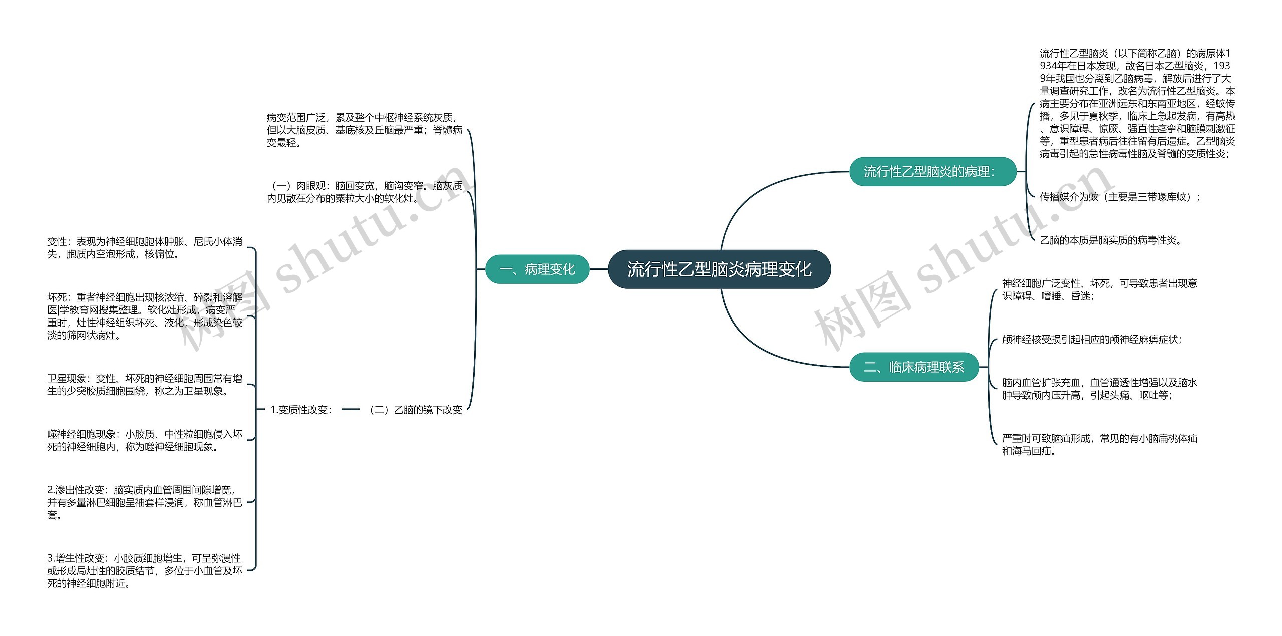 流行性乙型脑炎病理变化思维导图